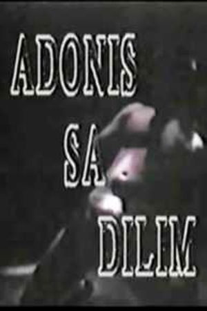 Adonis in the Dark's poster