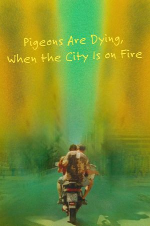 Pigeons Are Dying, When the City Is on Fire's poster