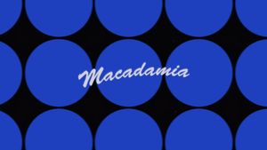 Macadamia's poster