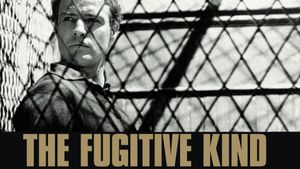 The Fugitive Kind's poster
