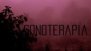 Sonoterapia's poster