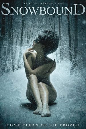 Snowbound's poster
