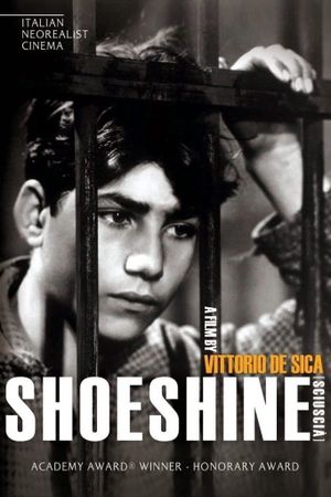 Shoeshine's poster