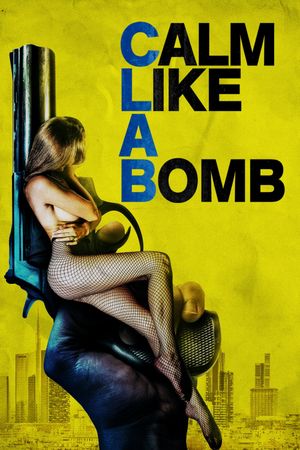 Calm Like a Bomb's poster image