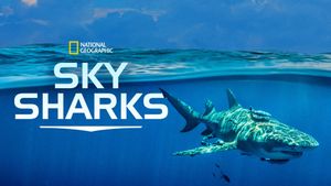 Sky Sharks's poster