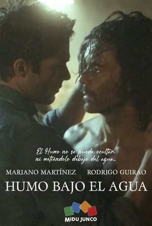 Humo bajo el agua's poster