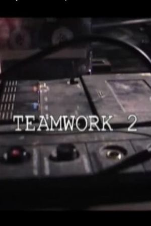 Teamwork 2's poster image