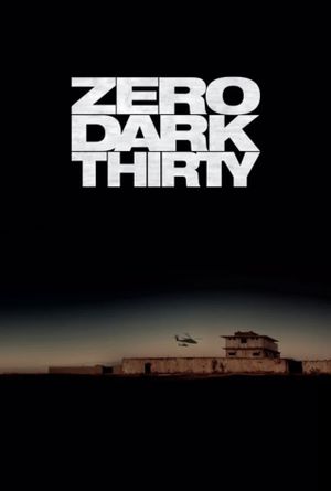 Zero Dark Thirty's poster