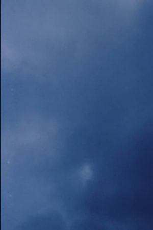 Coda II's poster