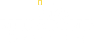 China's Megatomb Revealed's poster