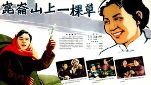 A Grass on Kunlun Mountain's poster