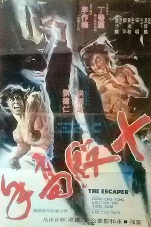 Shi duan gao shou's poster