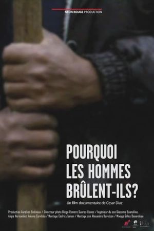 Why do humans burn?'s poster