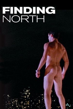 Finding North's poster