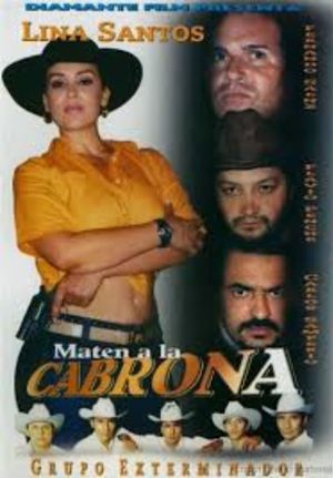 Maten a la Cabrona's poster