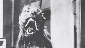 The Killer Shrews's poster