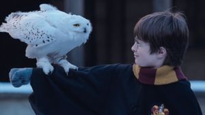 Harry Potter and the Sorcerer's Stone's poster