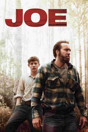 Joe's poster