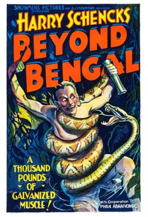 Beyond Bengal's poster