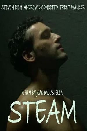 Steam's poster