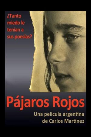 Pájaros Rojos's poster