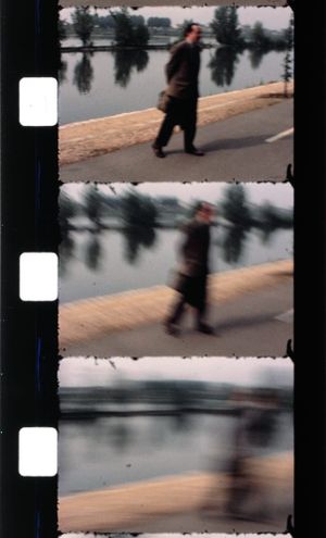 Effeuiller l'acanthe's poster