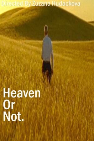 Heaven Or Not's poster