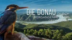 Die Donau – Durch Vergangenheit und Gegenwart's poster