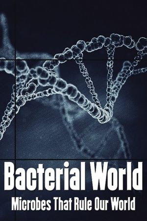 Bacterial World's poster
