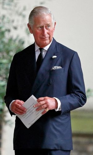 Prince, Son and Heir: Charles at 70's poster