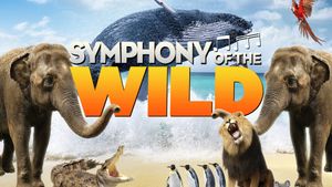 Symphony of the Wild's poster