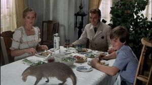 Rikki-Tikki-Tavi's poster