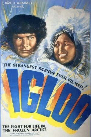 Igloo's poster