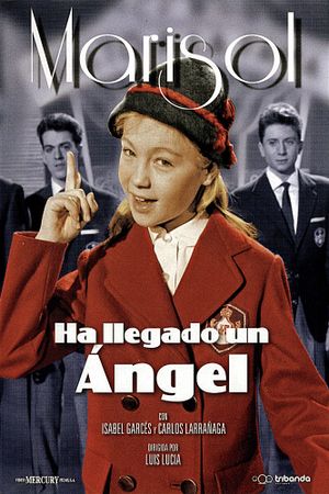 An Angel Has Appeared's poster