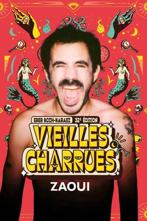 Zaoui en concert aux Vieilles Charrues 2024's poster image