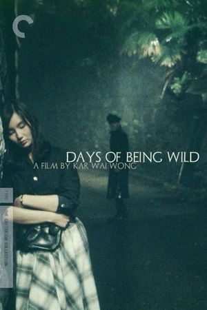 Days of Being Wild's poster