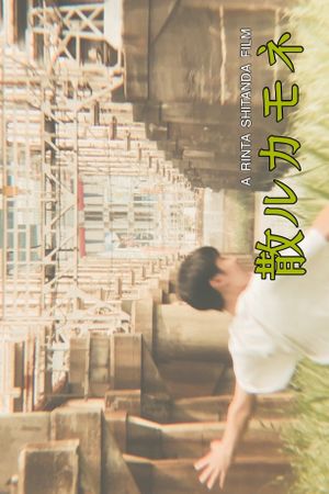 散ルカモネ's poster