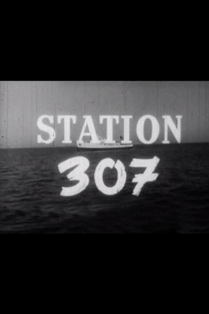 Station 307's poster
