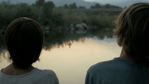 The Cormorants's poster