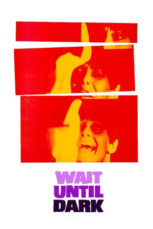 Wait Until Dark's poster