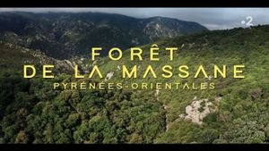 Thomas Pesquet : Objectif France's poster