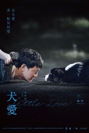 Little Love's poster