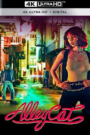 Alley Cat's poster