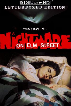 A Nightmare on Elm Street's poster