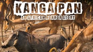 Disparitions autour du Kanga Pan's poster