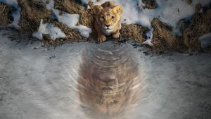 Mufasa: The Lion King's poster