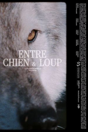 ENTRE CHIEN & LOUP's poster