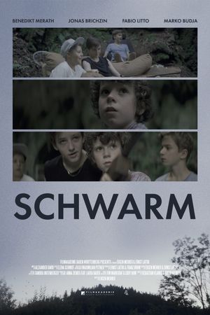 Swarm's poster