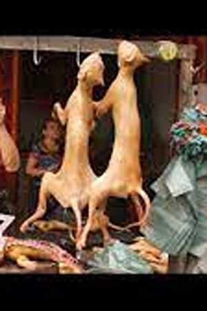 Dining on Dogs in Yulin's poster