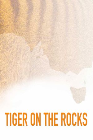 Tiger on the Rocks's poster